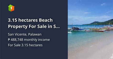 Property for Sale in San Vicente Palawan .